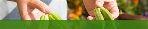 Dltr | complete dollar tree inc. New Castle Farmers Market :: Full List