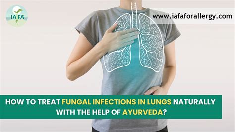 How To Treat Fungal Infections In Lungs Naturally With The Help Of