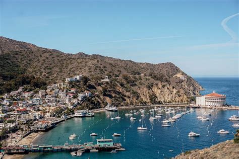 Things To Do On Catalina Island Pictures And Words
