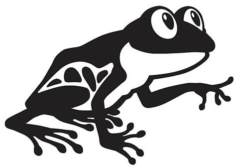 Red Eyed Tree Frog Clip Art Vector Images And Illustrations Istock