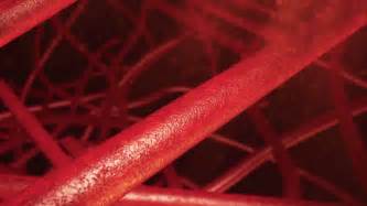 Small Blood Vessels Shown In Stock Footage Video 100 Royalty Free