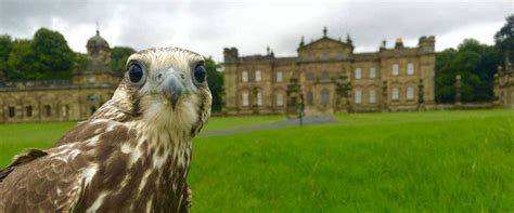 School And Group Visits National Centre For Birds Of Prey