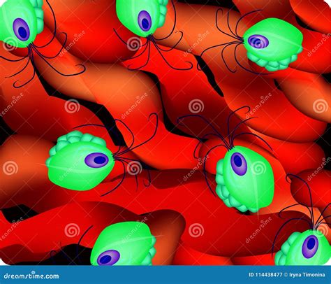 Trichomonas Intestinal Structure Trichomoniasis Urogenital Infection Infographics Vector