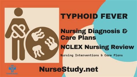 Typhoid Fever Nursing Diagnosis And Nursing Care Plan Nursestudynet