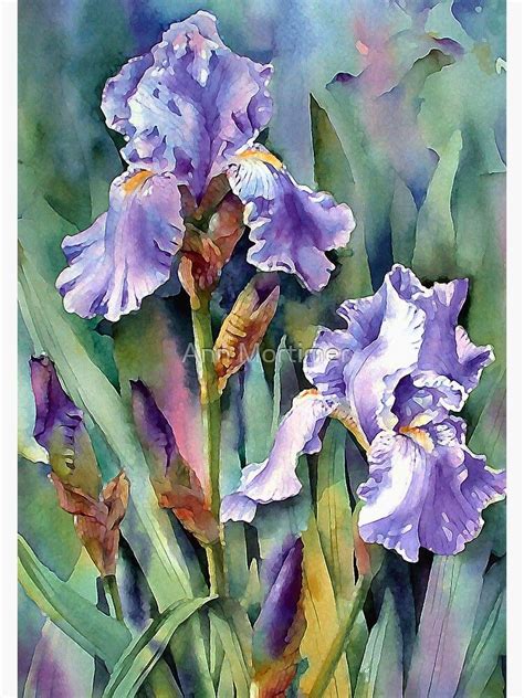 Blue Irises Greeting Card By Ann Mortimer Iris Painting Flower Art