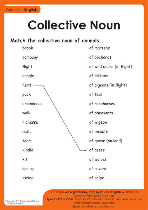 Collective Noun Of Animals Worksheets