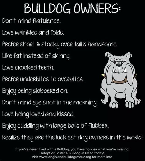 Since its founding in 2002, bulldog systems has provided waste removal service for southern illinois families, residences, churches, municipalities, schools, contractors, businesses, and special events. English Bulldog Quotes. QuotesGram