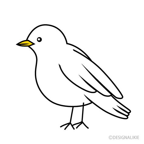 White Bird Clip Art Free Png Image｜illustoon