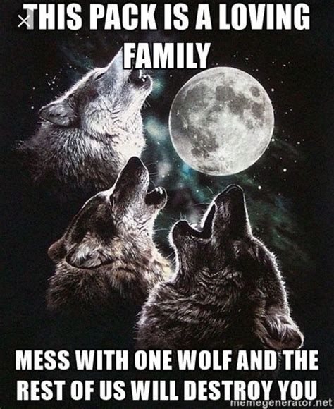Pin By Gachavids04 On Wolf Quotes Wolf Pack Quotes Wolf Pictures