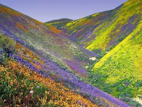 Mountains And Flowers Valley Of Flowers Beautiful Places Scenic