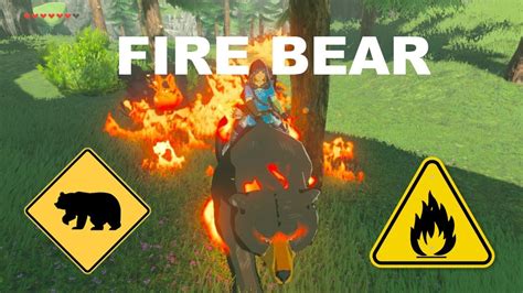 Maybe you would like to learn more about one of these? Setting the woods on fire using a fire bear in Breath of the Wild - YouTube