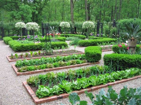 My French Heart French Intensive Gardening~ Garden Layout Vegetable