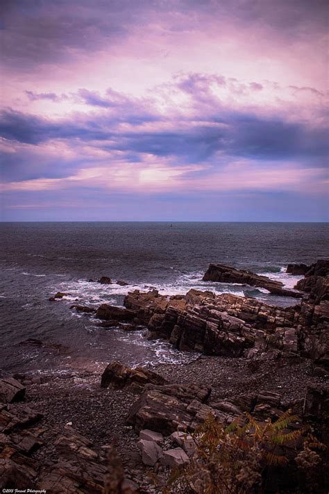Coastal Maine Photograph By Debra Forand Fine Art America