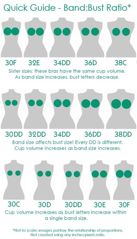 Best everyday bras for a cups. How to Find Your Real Bra Size | Bellatory