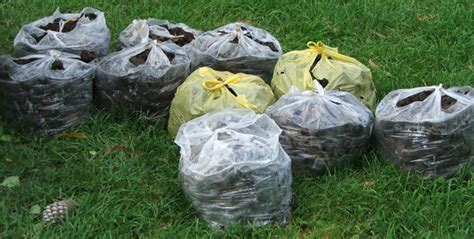 Buy manure and get the best deals at the lowest prices on ebay! The last March weekend...
