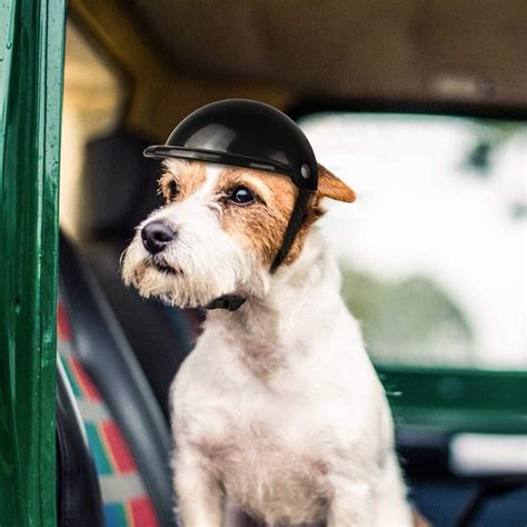 Best Dog Motorcycle Helmets In 2021 Review Mpets Lover