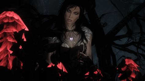 Dark Forest At Skyrim Nexus Mods And Community