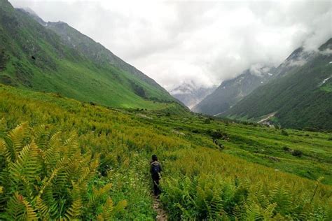 Valley Of Flowers Uttarakhand Treks And Trails India