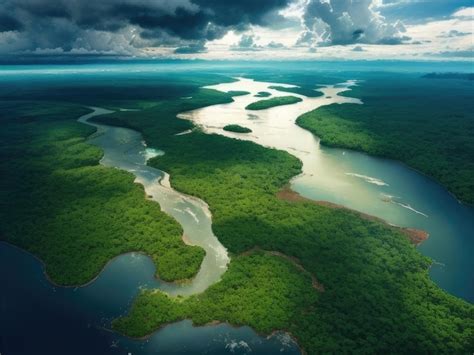 Premium Ai Image An Aerial View Of The River In The Forest