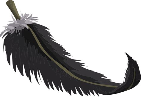 Black Feather Plumage Birds Png Picpng