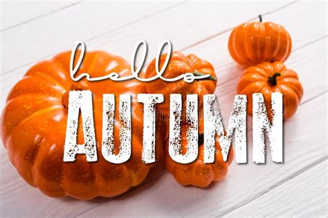Pumpkins Near Hello Autumn Lettering On Stock Illustration