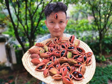 Chinese Fruit Hunter Yang Xiaoyang The World Of Chinese