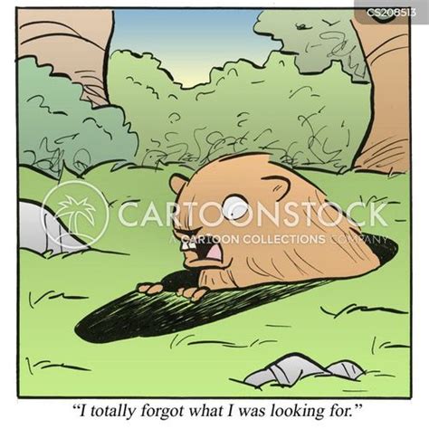 February 2 Cartoons And Comics Funny Pictures From Cartoonstock