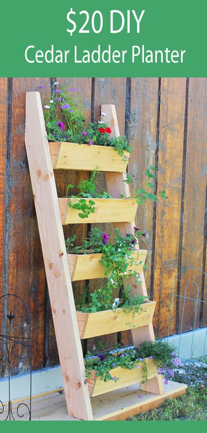 Even though the wood will get wet during watering, it won't take the wear and tear of consistently holding damp soil. Ana White | Cedar Vertical Tiered Ladder Garden Planter ...