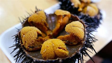 Japanese Street Food Giant Sea Urchin Uni Sashimi Japan Seafood Youtube