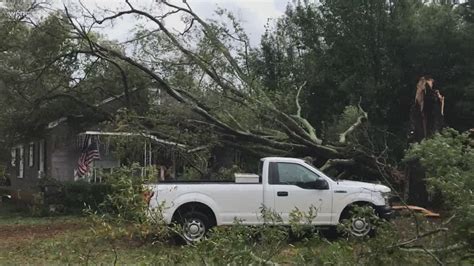 What To Do If A Tree Falls On Your Property During A Storm