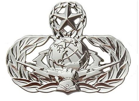 Air Force Badge Cyberspace Support Master Regulation Size