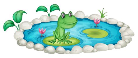 Clipart Frog Pond Clipart Frog Pond Transparent Free For