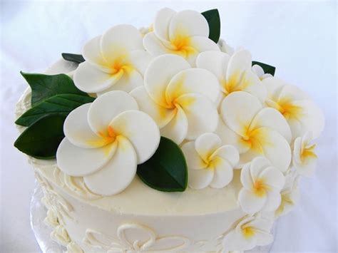 Plumeria Cake Cake And Cupcake Pinterest Birthday Cakes Plumeria
