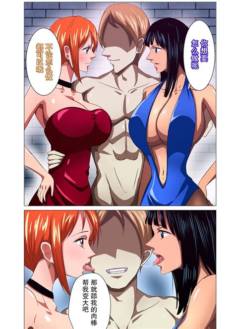 Spycam Onna Kaizoku Ga Himitsu No Settai One Piece Hentai Fat Pussy