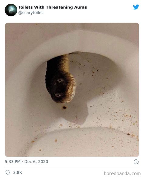 These Twitter Accounts Post Toilets With Threatening Auras And Here Are Of The Most Cursed