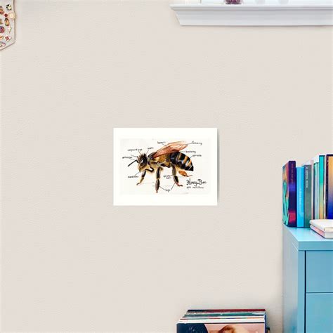 Honey Bee Anatomy Chart Art Print For Sale By Imapieceoftoast Redbubble