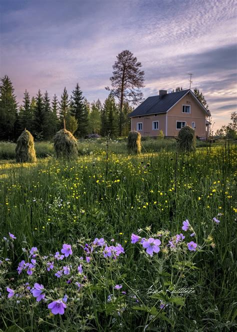 🇫🇮 July In Finland By Asko Kuittinen Scenery Beautiful Nature