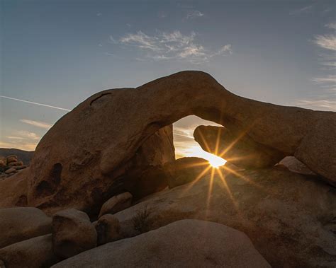 A Joshua Tree Photography Guide The Best Photo Spots In The Park