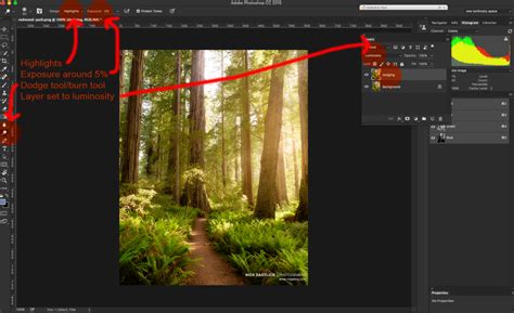 How To Dodge And Burn In Photoshop Capturelandscapes