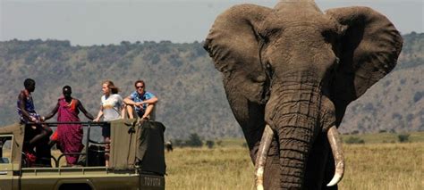 The Best Kenya Safaris From Nairobi To Interesting Destinations