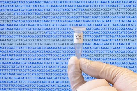 Scientists Present First Computer Generated Artificial Genome