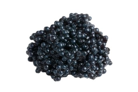 Baixar Caviar Hackleback PNG transparente - StickPNG