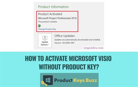 Product Key For Microsoft Visio Professional 2010 Hospitallimfa