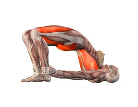 Wondering what the best yoga pose is for back pain? 4 Quick And Easy Yoga Poses For Lower Back Pain Relief ...