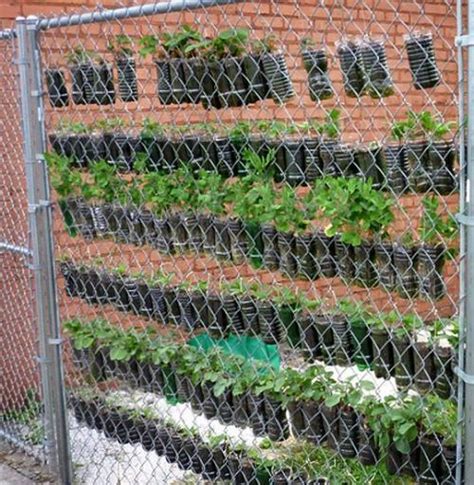 Diy Plastic Bottle Vertical Garden