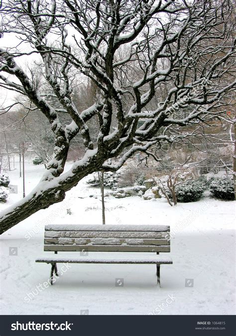 Winter Bench In A Park Covered With Snow Under A Tree Stock Photo