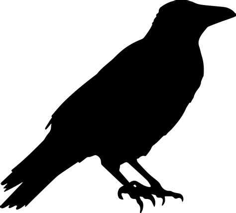 Raven Png Transparent Image Download Size 1912x1723px