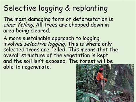 Living World 10 Sustainable Management Of Amazon Rainforest Clf
