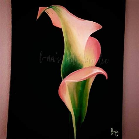 Callas Lilly Oil Painting Art Oil Art Painting Oil Oil Painting