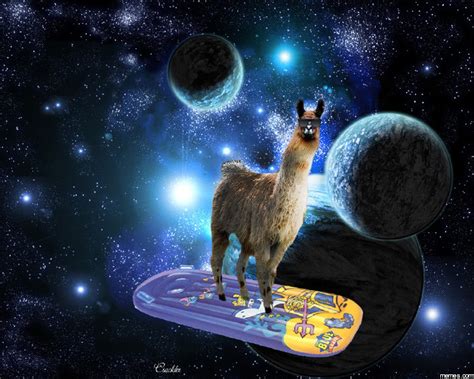 Llama In Space